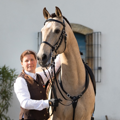 Breastplate Conde