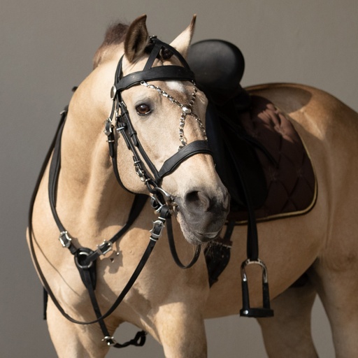 Pechopetral Working Equitation