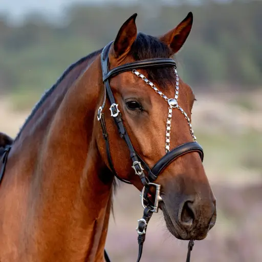 Working Equitation Military Bridle Deluxe