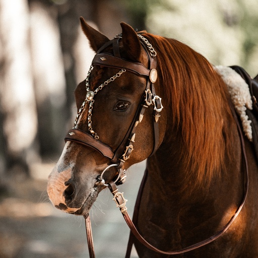 Working Equitation Military Bridle Original