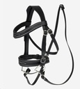 Hobby Horse Competition Bridle