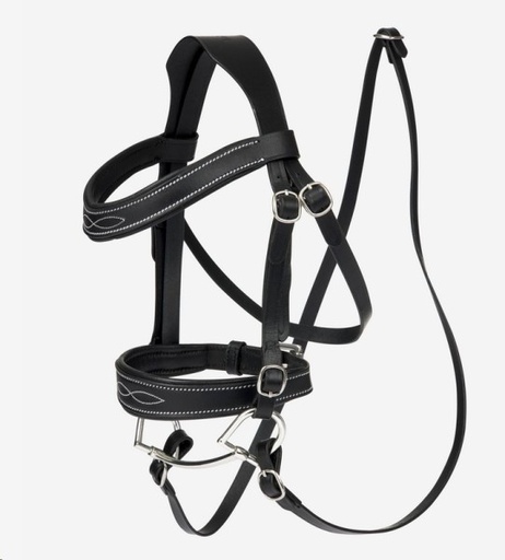 [116.5980] Bride de compétition Hobby Horse