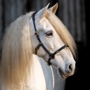 Outlet Cavesson Conde Soft Connection