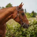 Country Bridle
