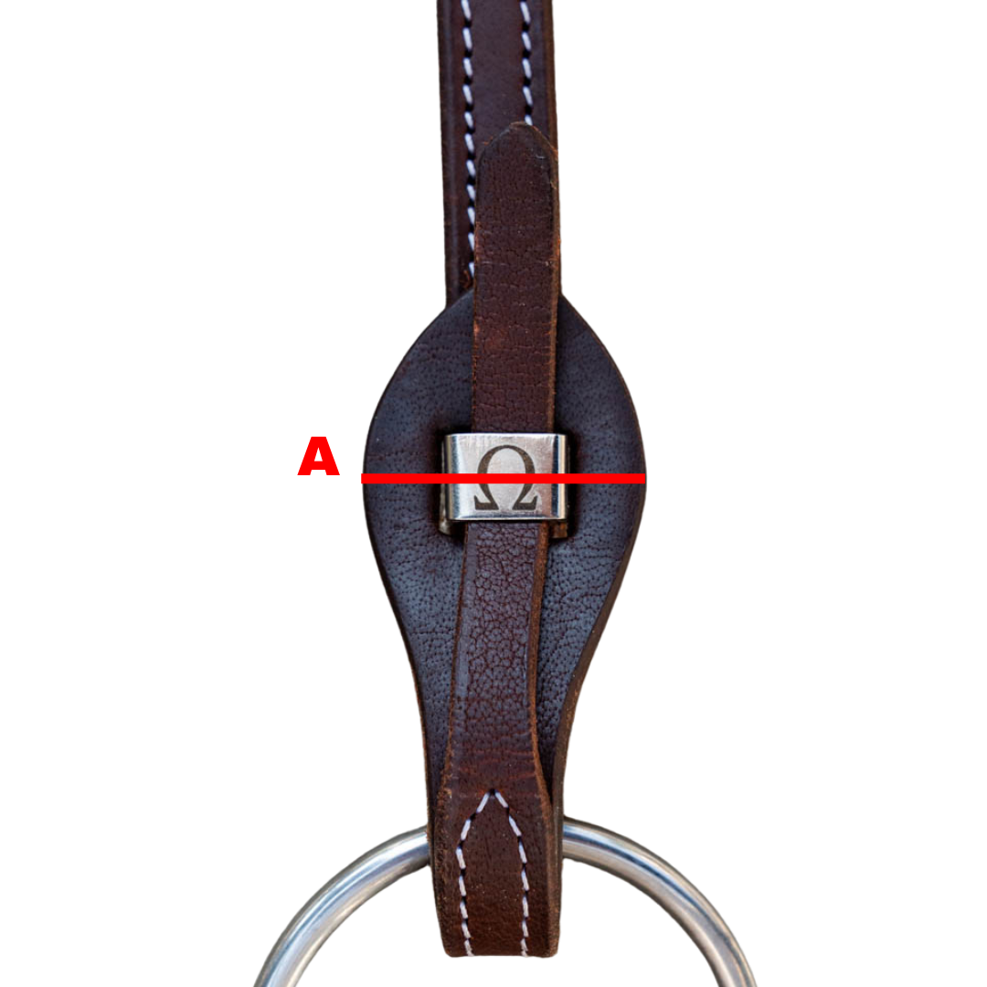 Maßbild
