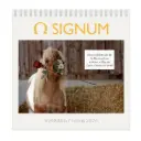 Signum & Friends Charity Kalender 2026