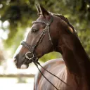 Trensenzaum Infinity